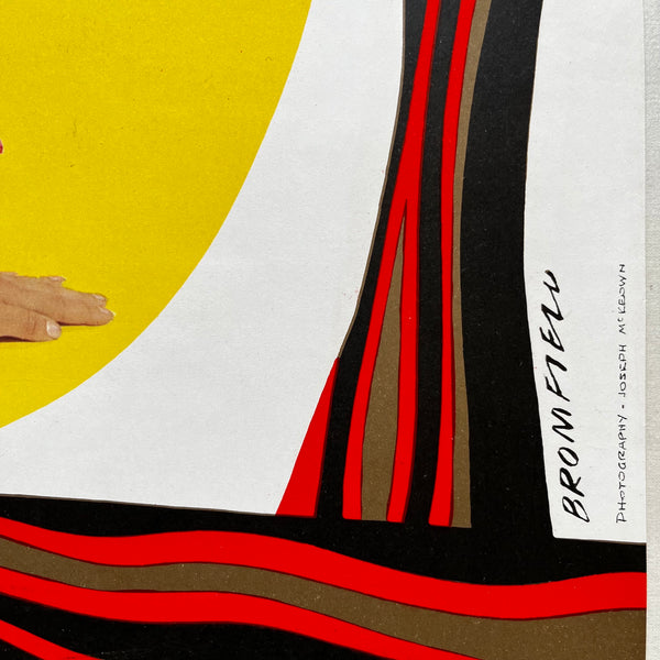 BR Poster - Hampshire