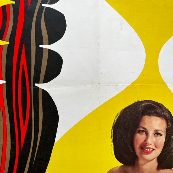 BR Poster - Hampshire