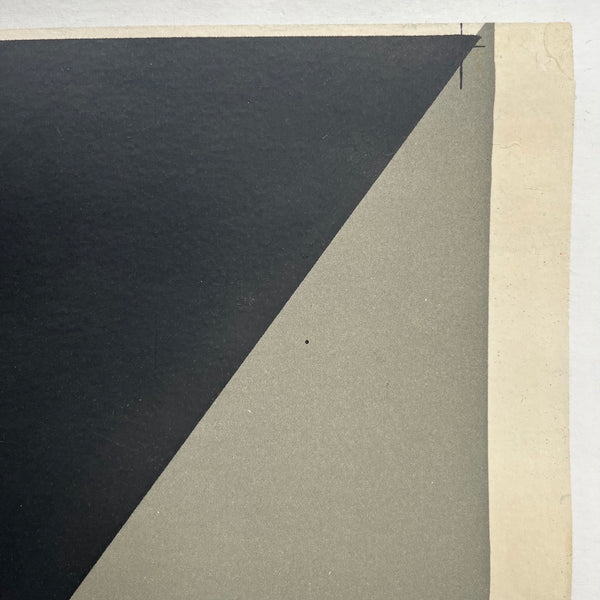 Advertising Poster - Ribet Desjardins Télévision